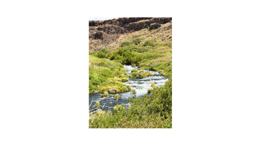 Box Canyon Springs, Idaho